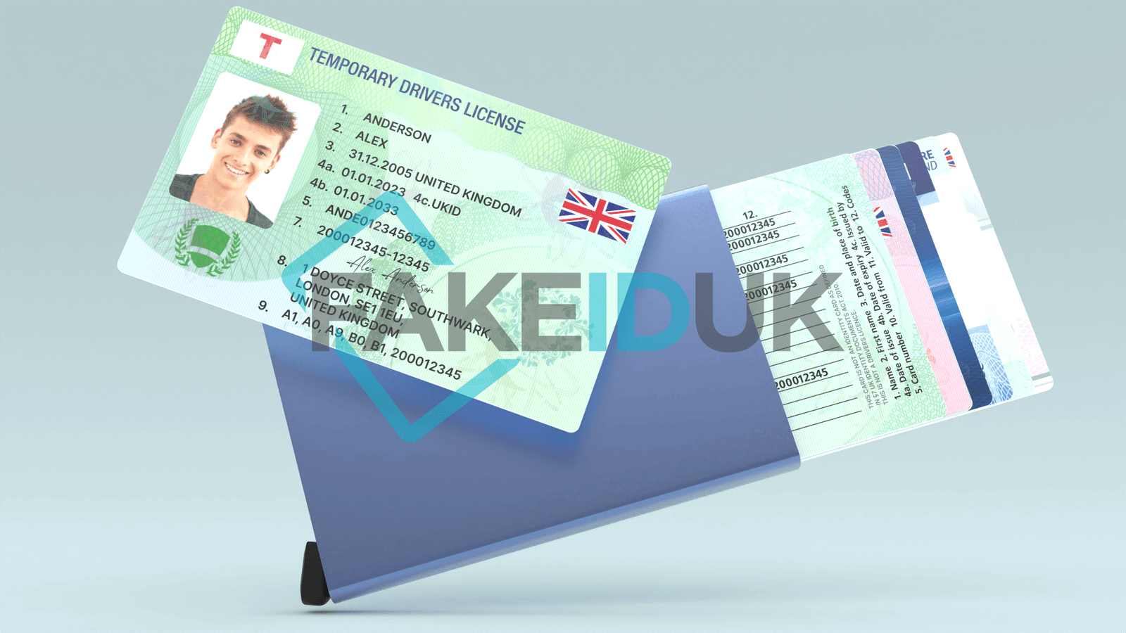 Green “Temporary” License Card Image 4