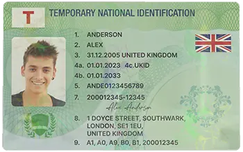Green “Temporary” License Card Image 8