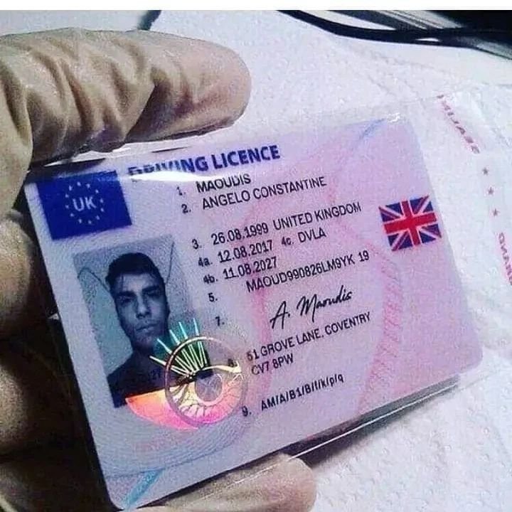 Driver’s / National ID Style ID 2022 Design Image 6